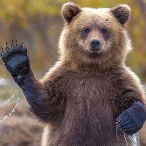 Meet your Posher, Colby